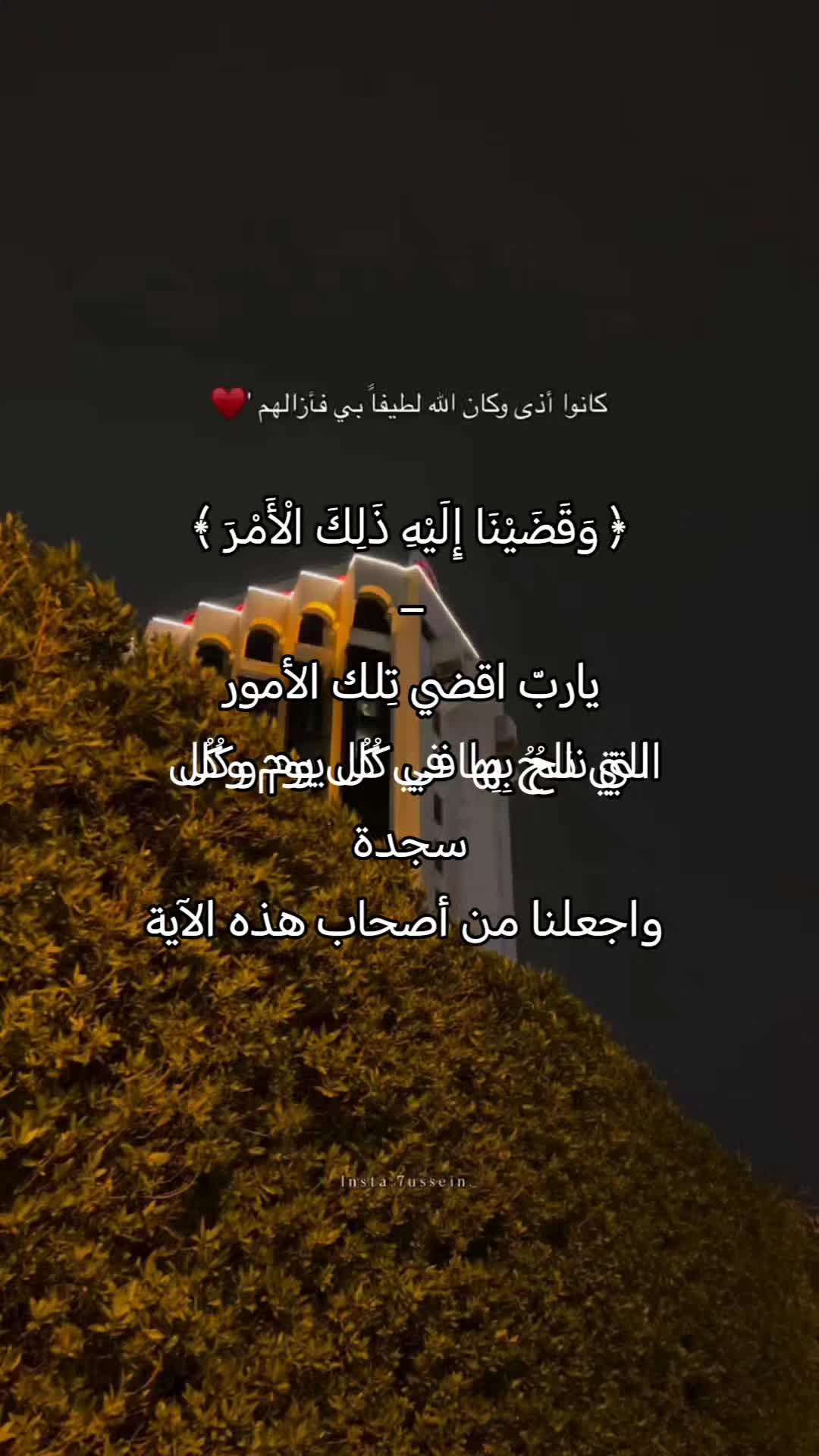 @Mai Mohamaed