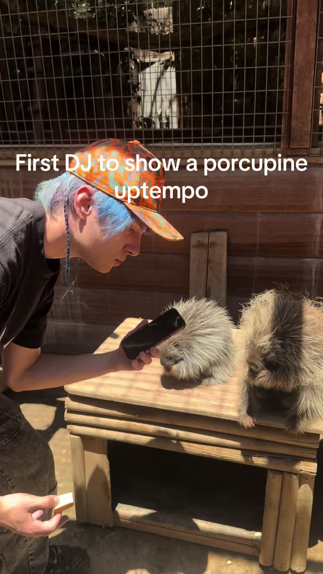 @ojjisin