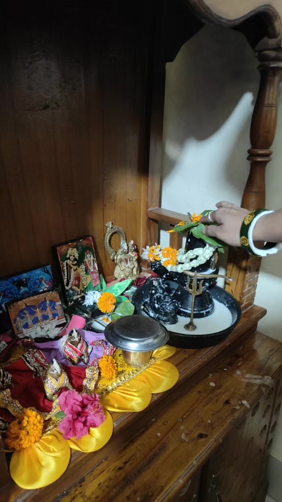 @dabikapaul589