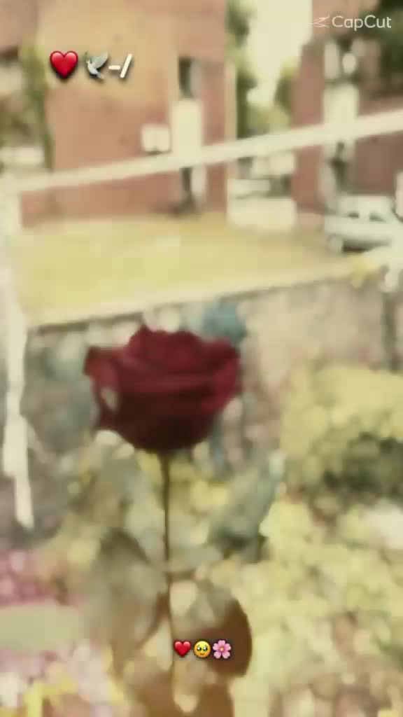 @Shahid 007