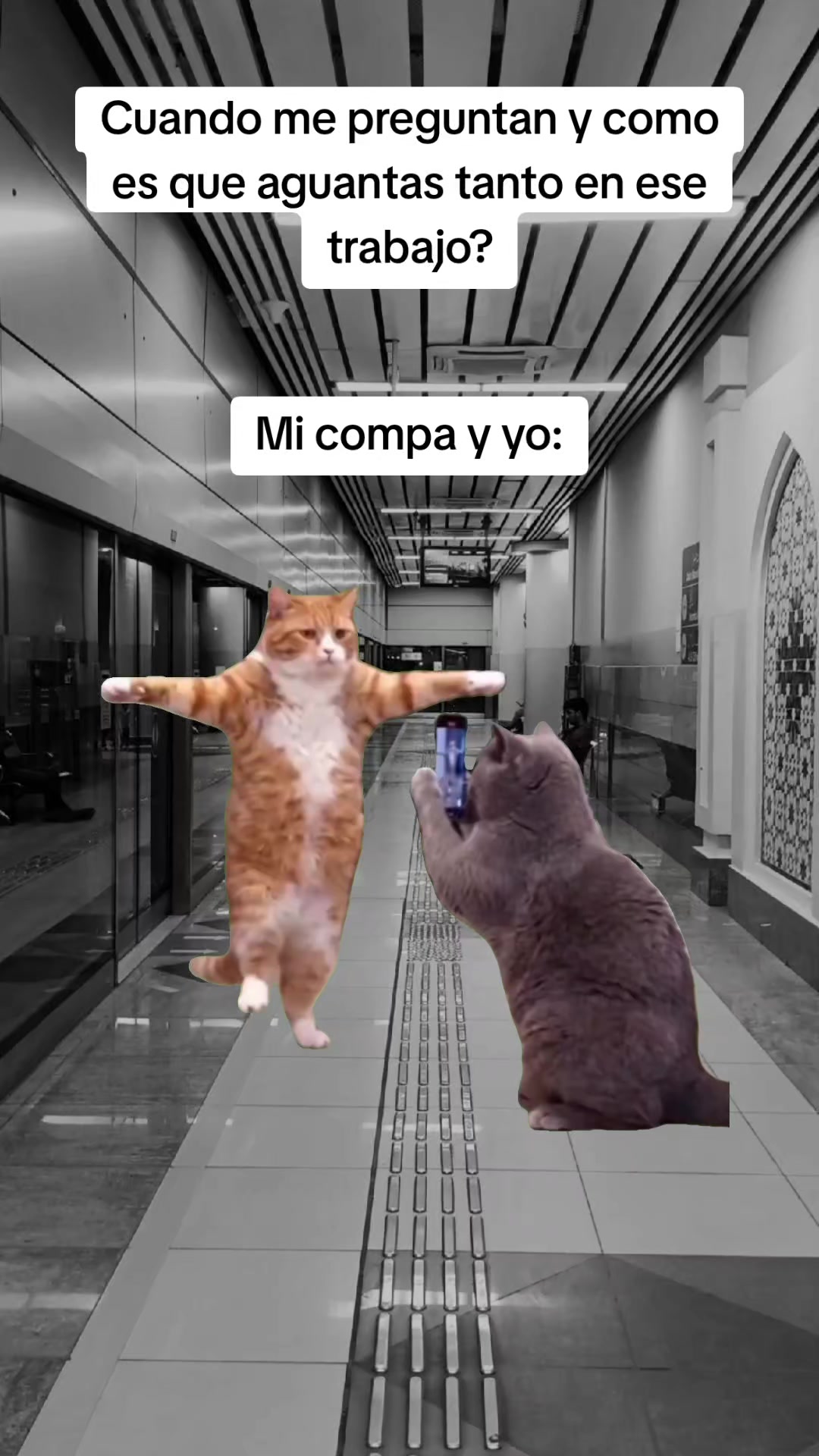 @Luis Carvajal240