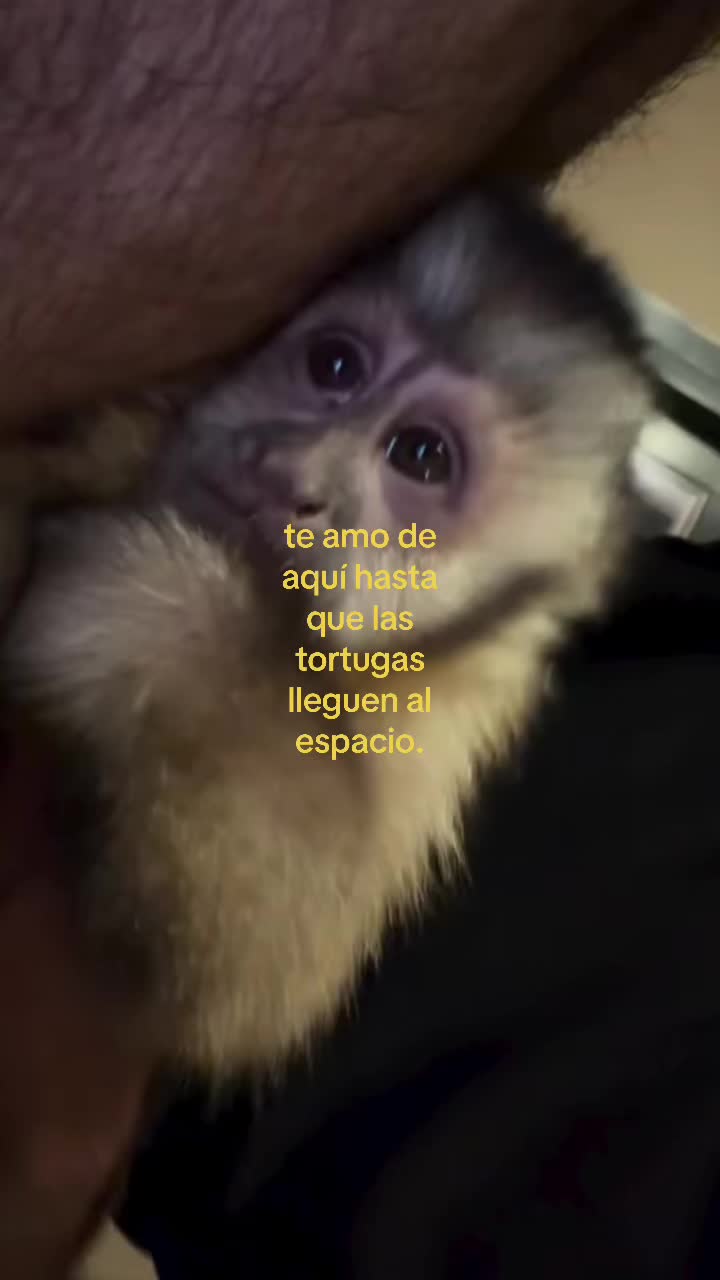 @daismined