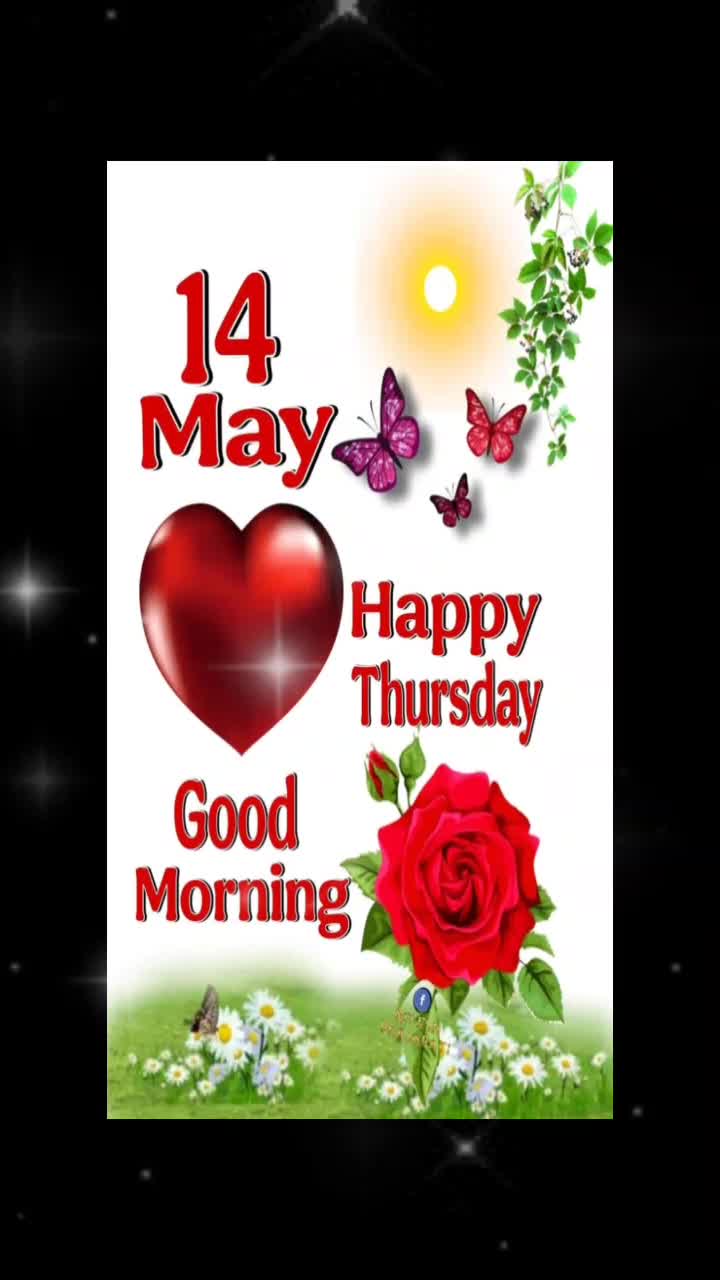 @hamisa 254@