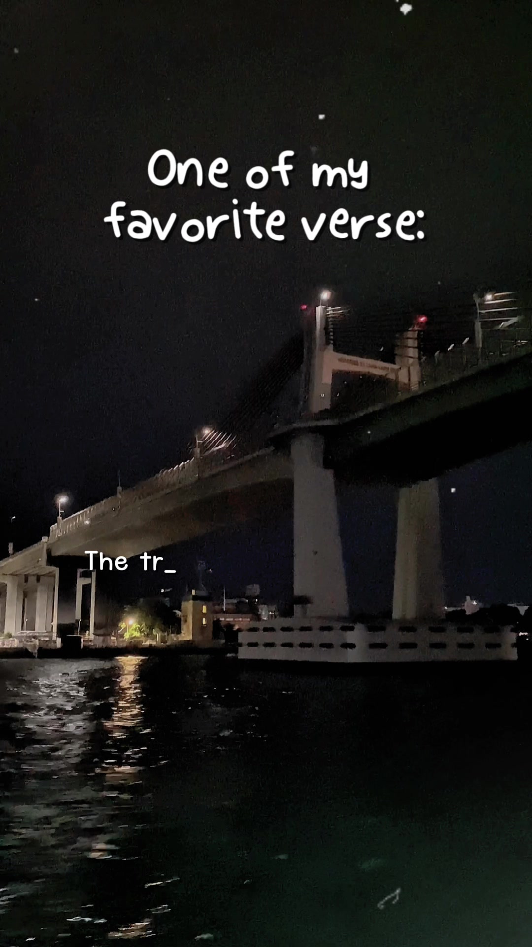 @mayshinshop