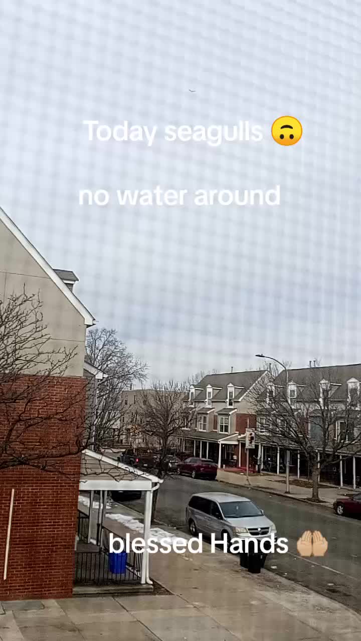 @realgwenblessed