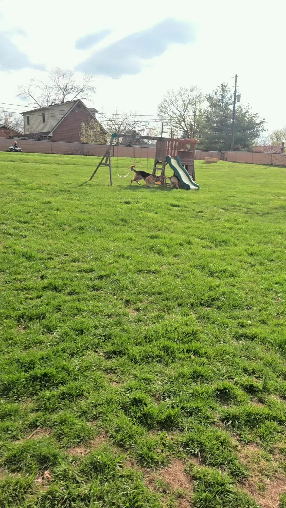 @Mr.Chief&Nova