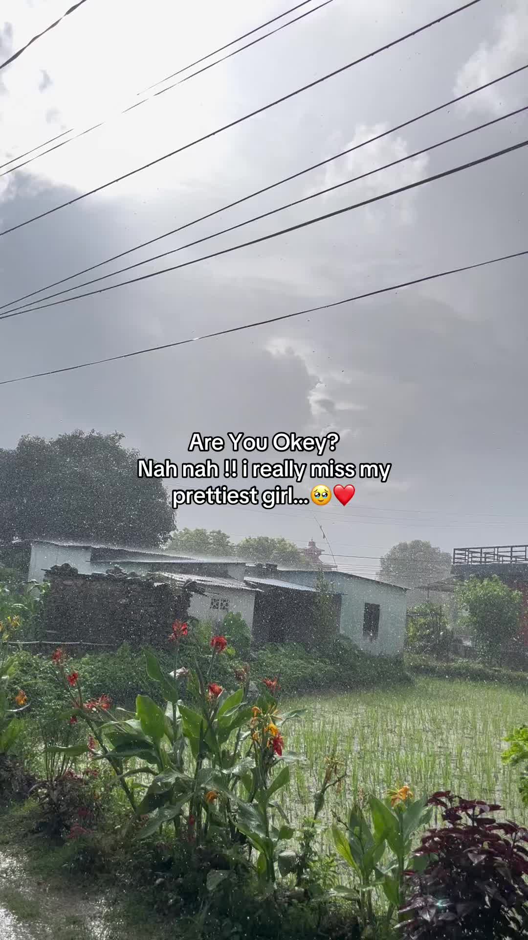 @Sakaryyyy🦅