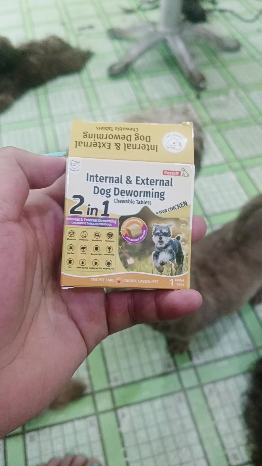 @angelkho25🧿