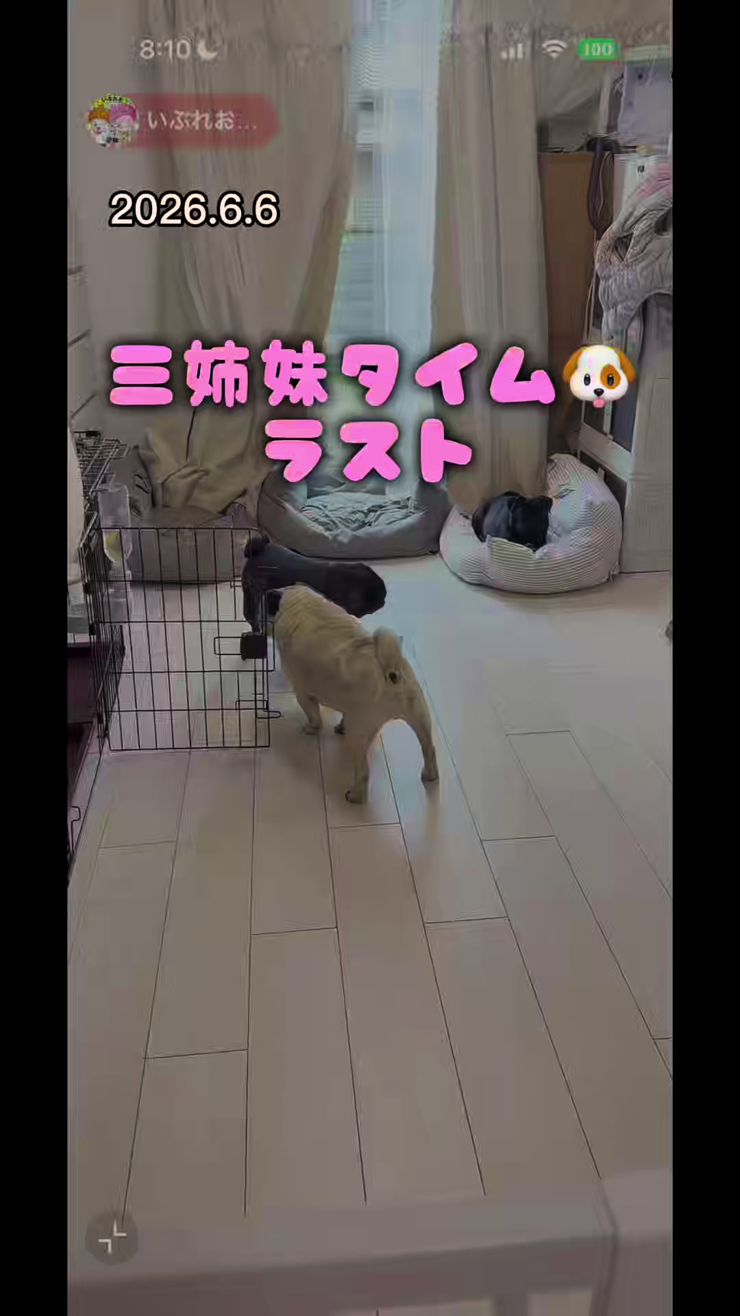 @すずか🧊🫧