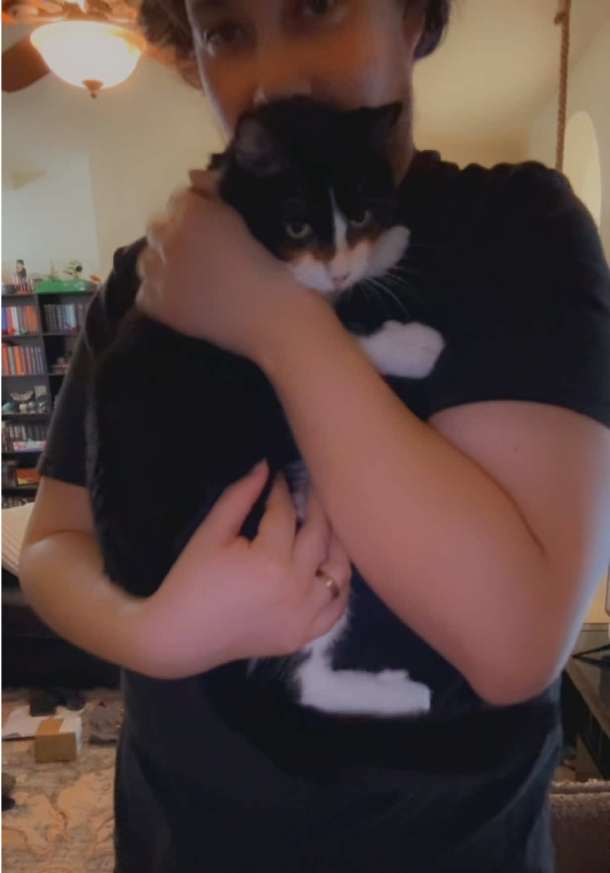 @Tali & Cats
