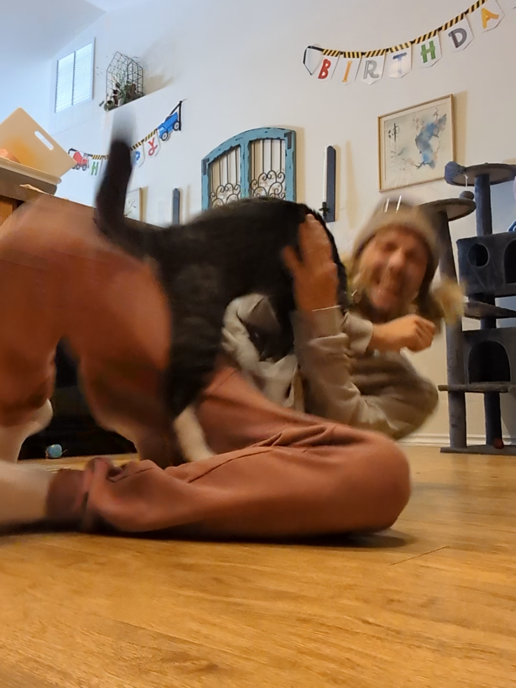@Rainy the Cat