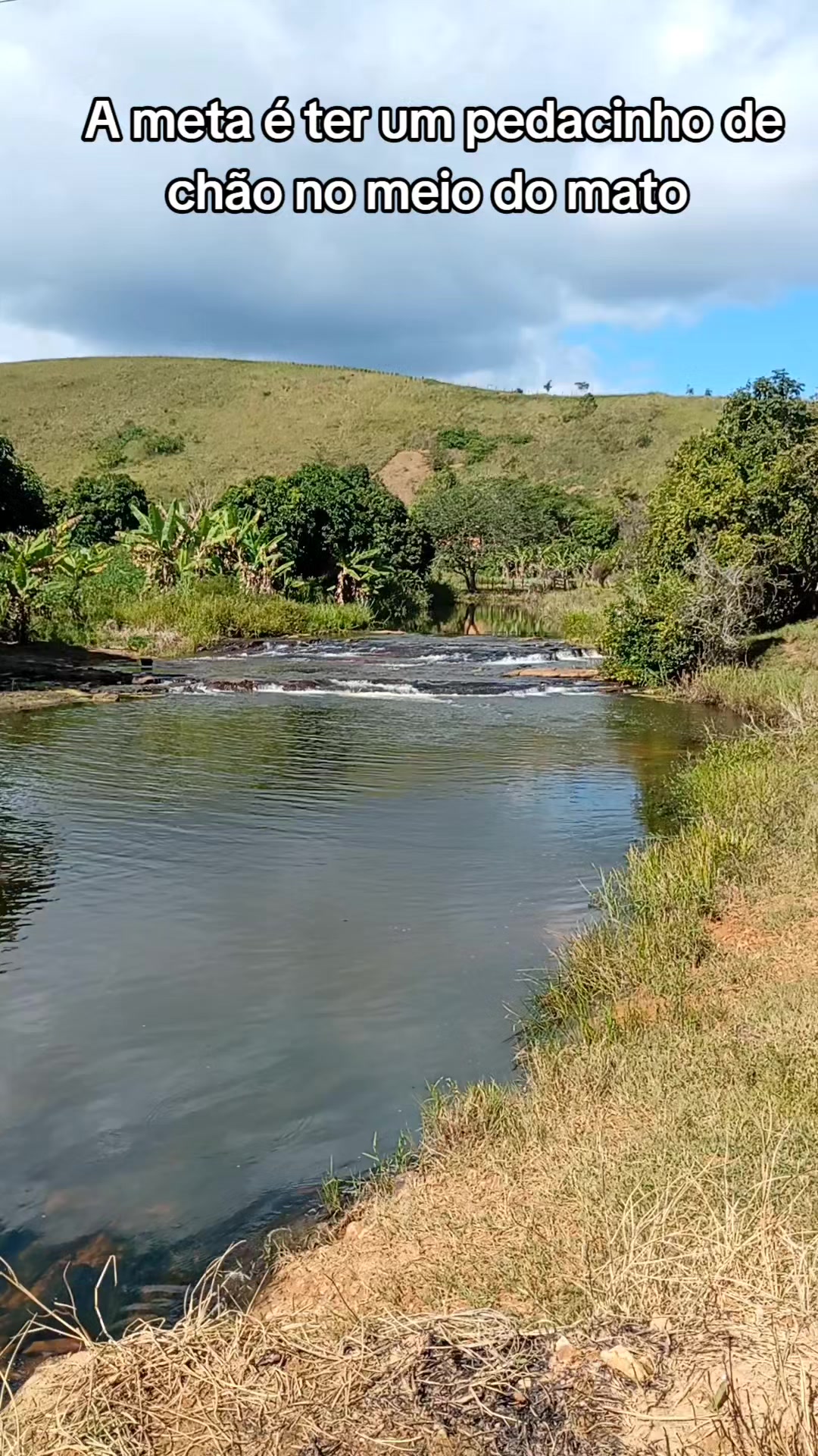 @Roça 🤠🌱