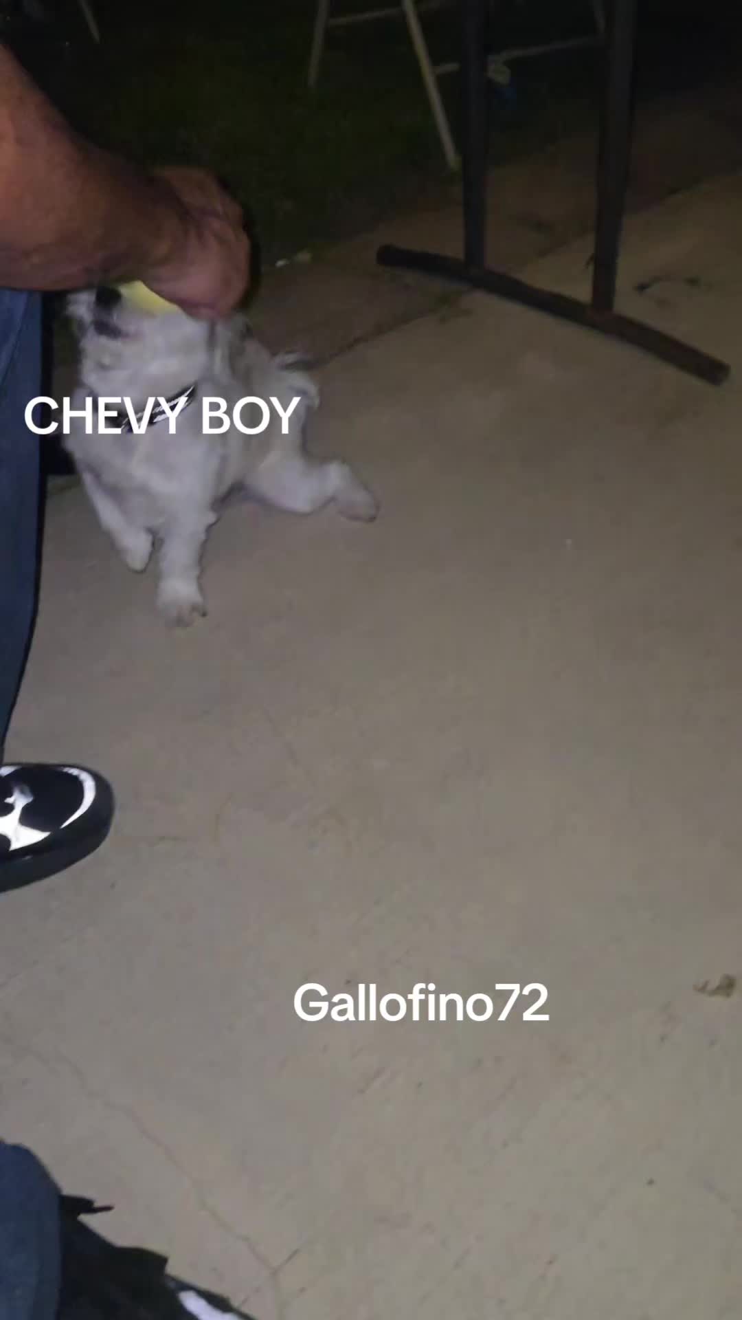 @ElGalloFino