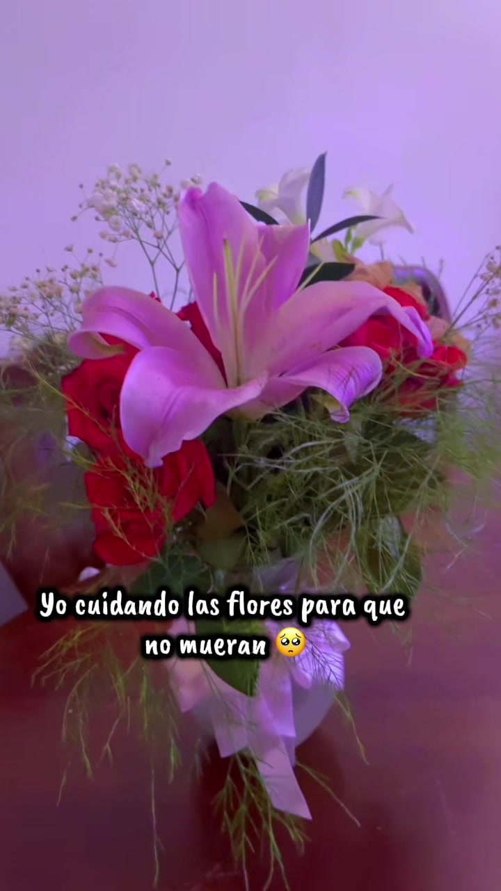 @🦋ྀིYᗩᑎՏITᗩ🦋ྀི