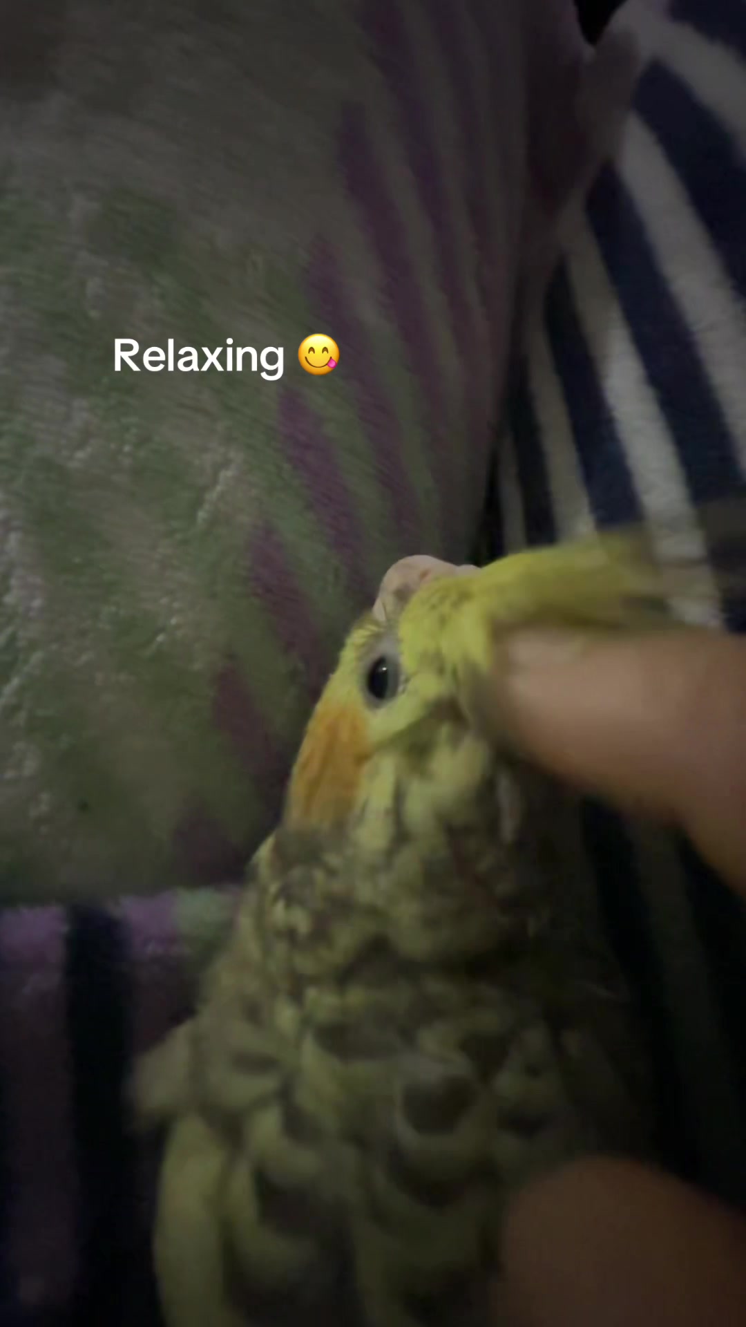 @Mu_Na🧿