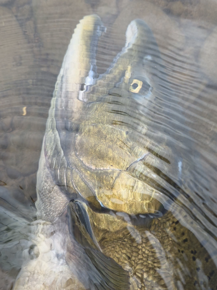 @the360angler