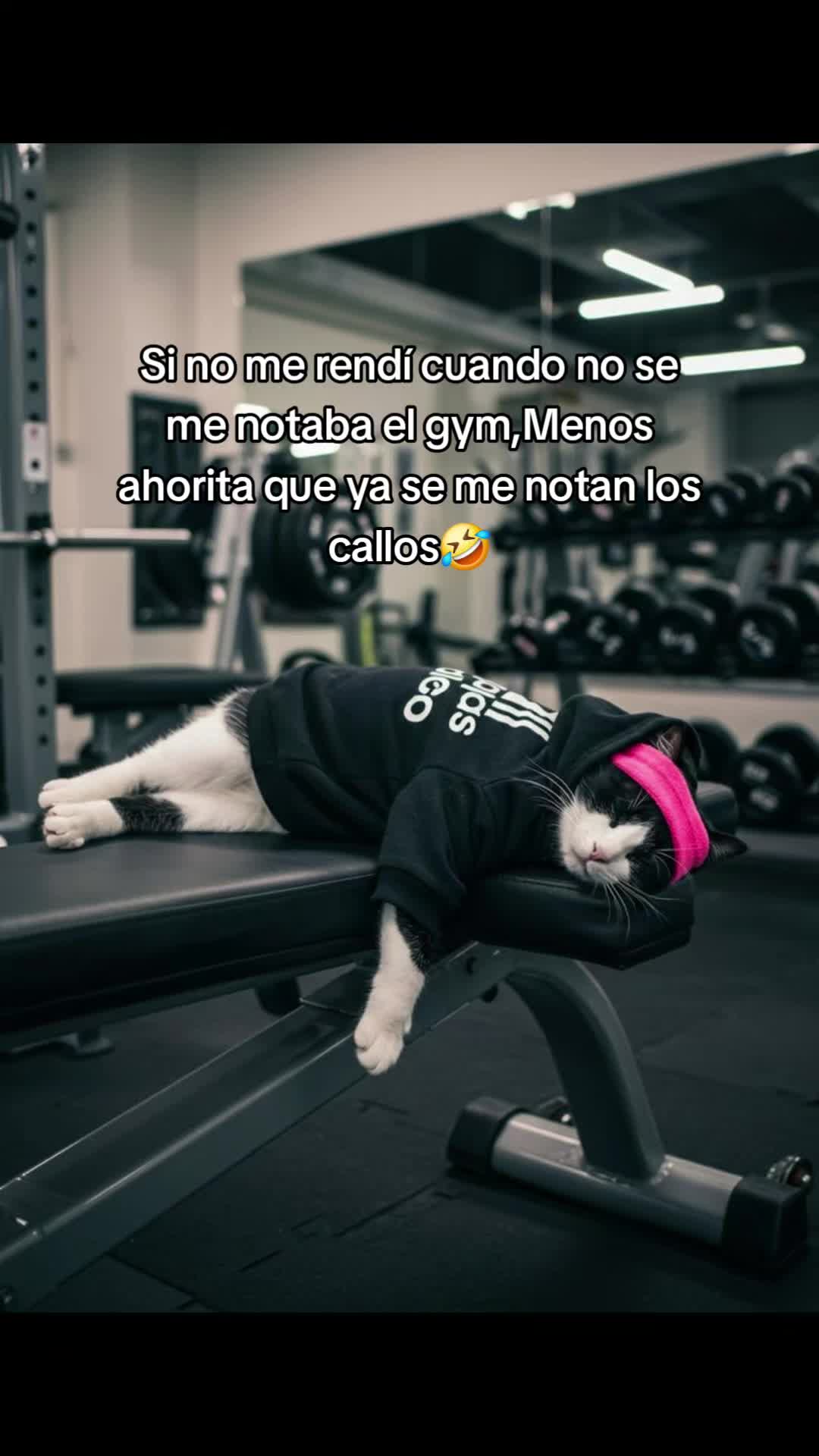 @BatorGym#1