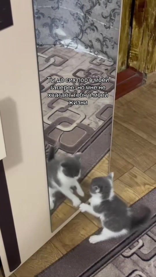 @ангелина🎭