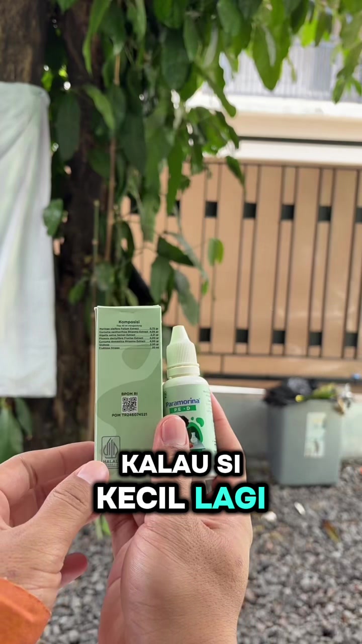@Kak Maulana | Konsultan