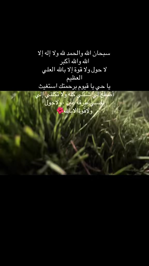 @عابرة الى الجنه ان شاء الله