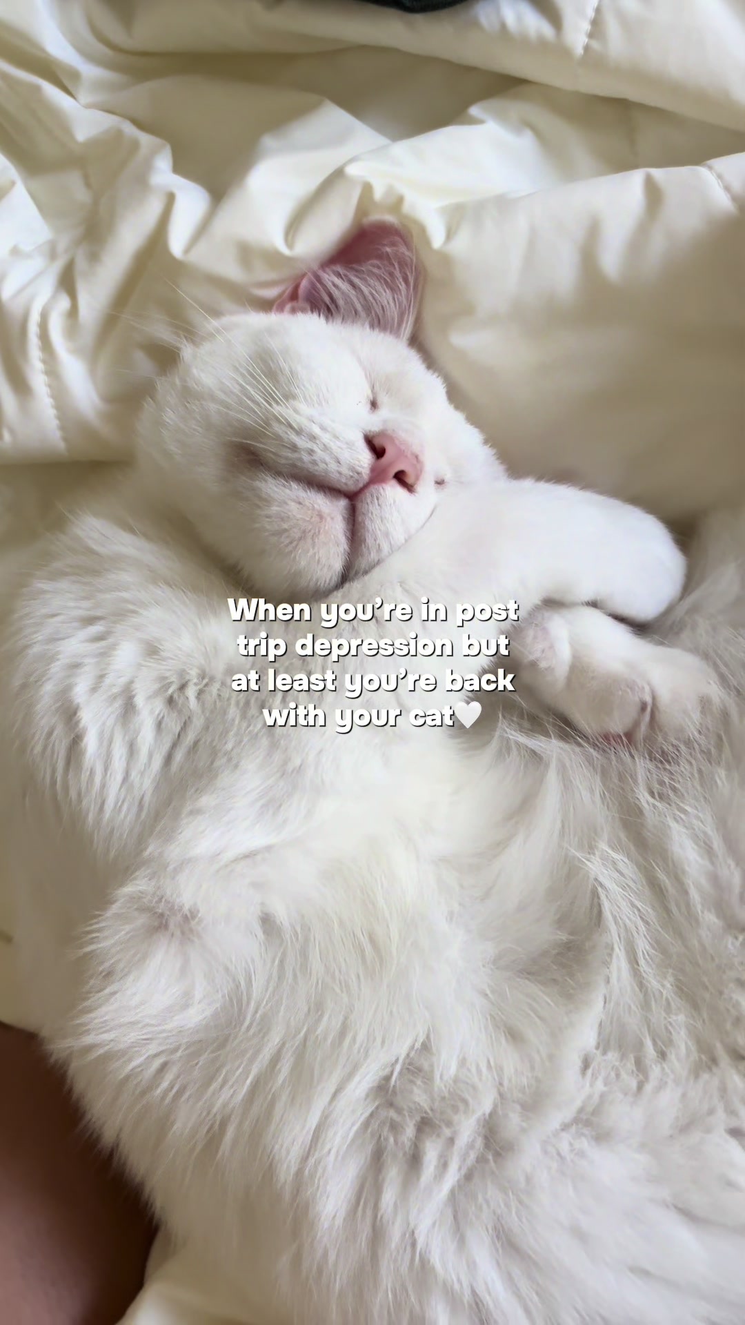 @Meg🫧