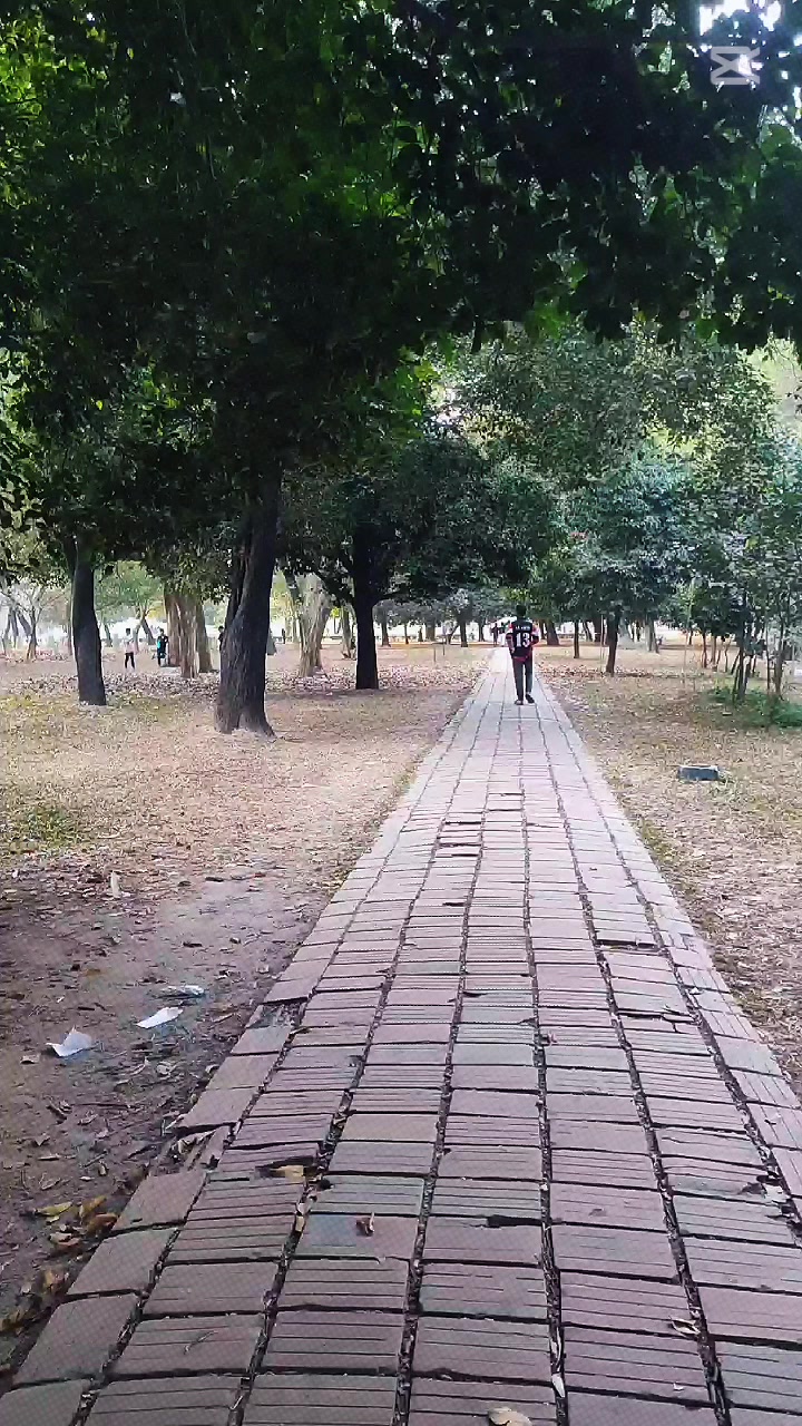 @Istik_Hridoy 💫