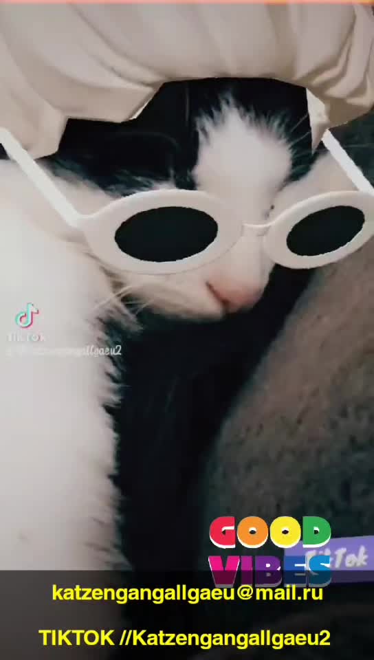 @katzengangallgaeu
