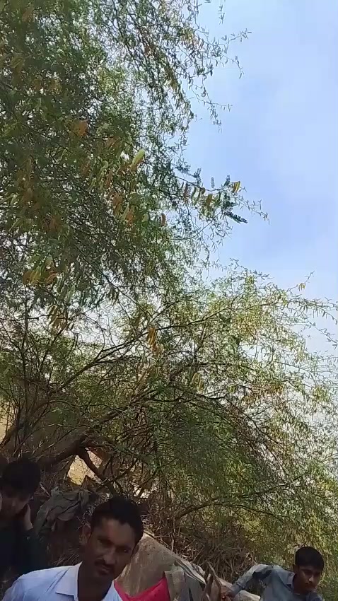 @Malhar Bheel
