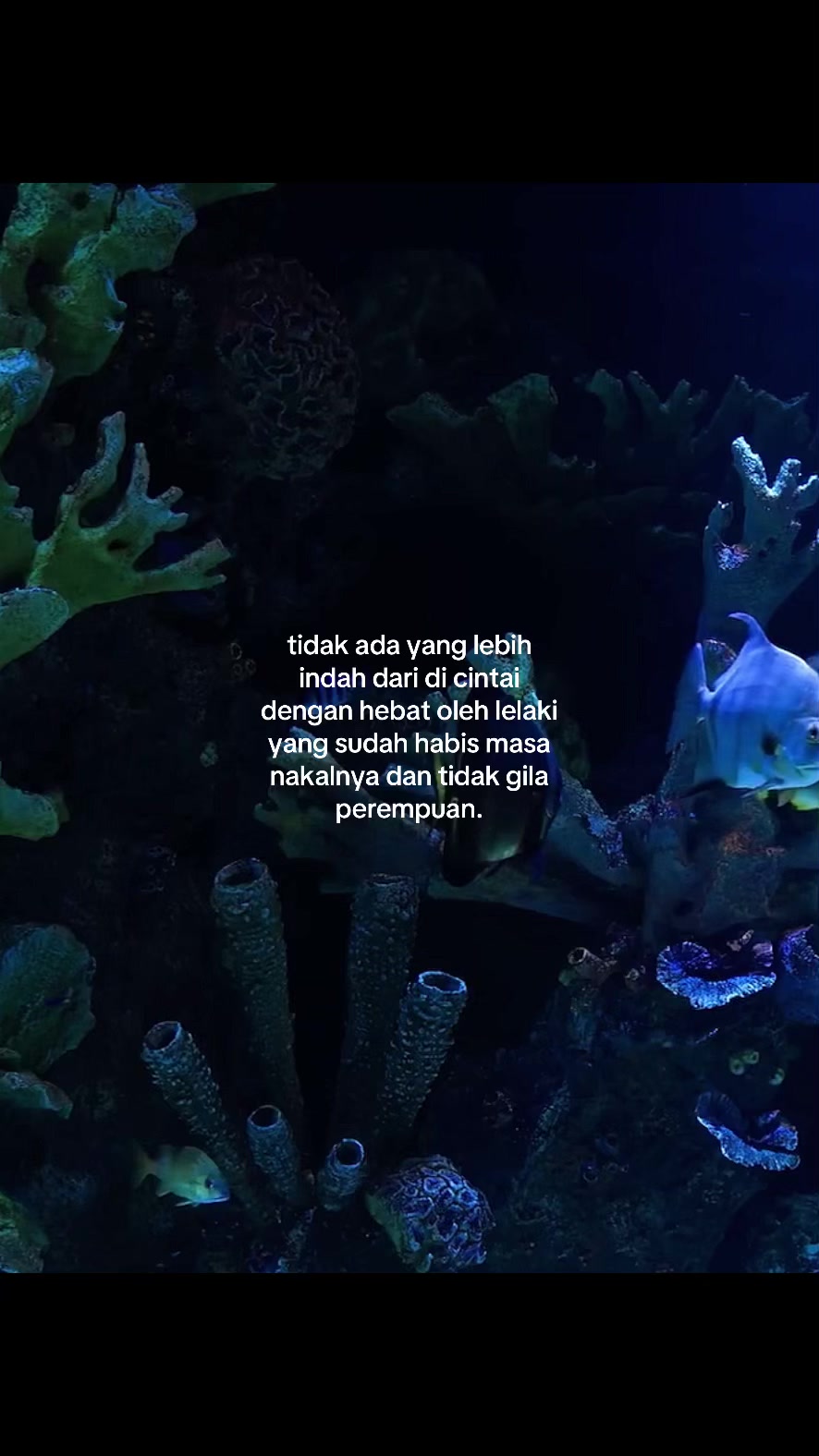 @GALAU;) Arieff