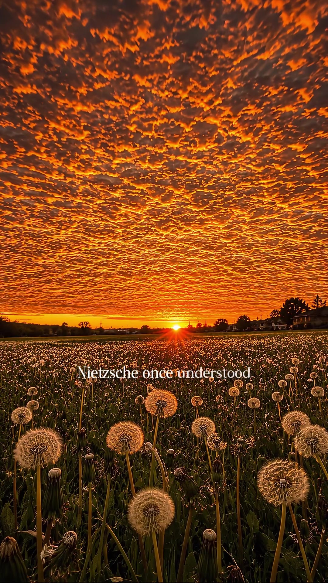 @My Quote Page
