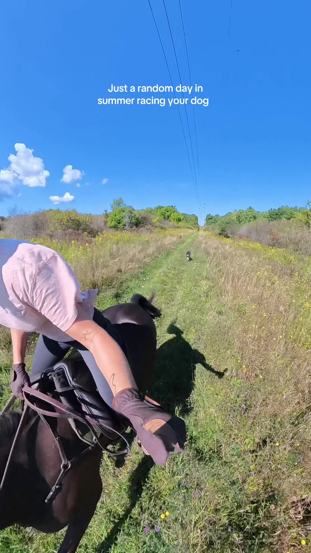 @Bennett Sisters Eventing