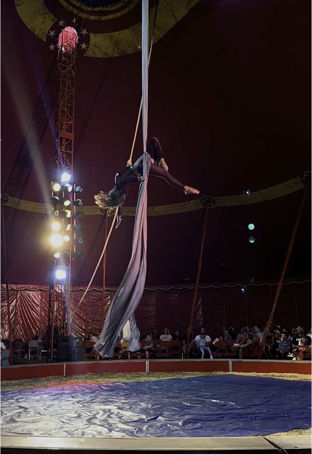 @circus.chloe