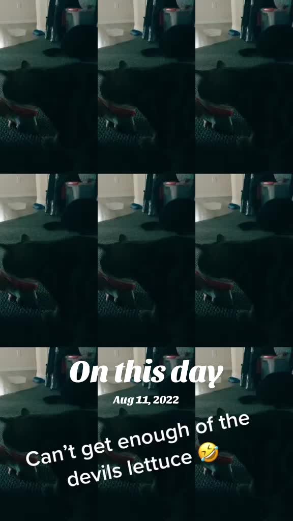 @DeeDeefromAZ