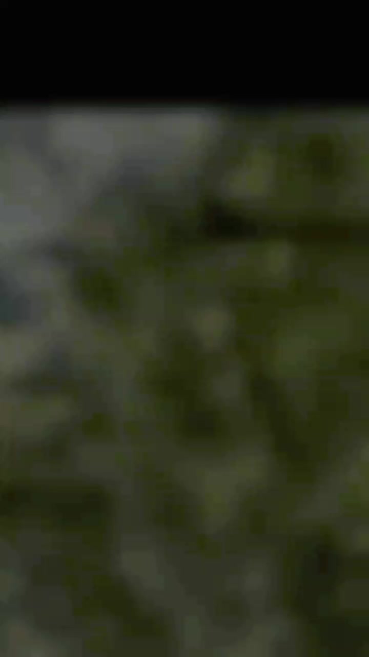 @𝐓𝐚𝐥𝐡𝐚 𝐨𝐟𝐟𝐢𝐜𝐢𝐚𝐥 🐊