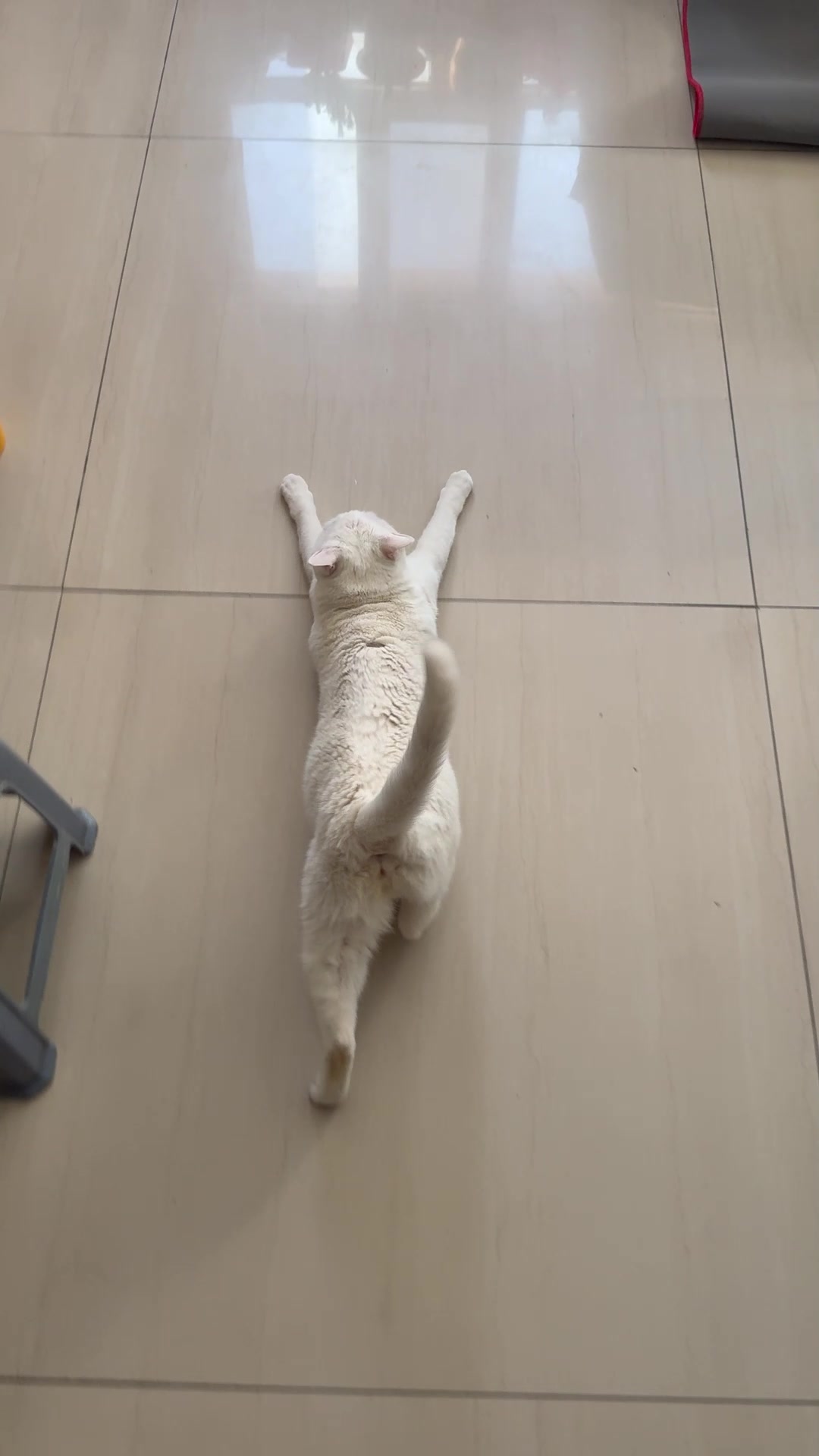 @MoewaiiCat