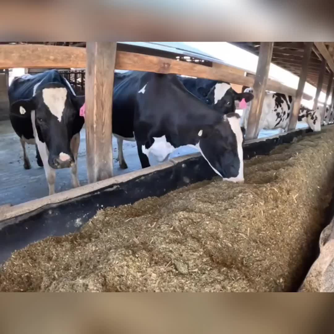 @Kip Siegler Farming
