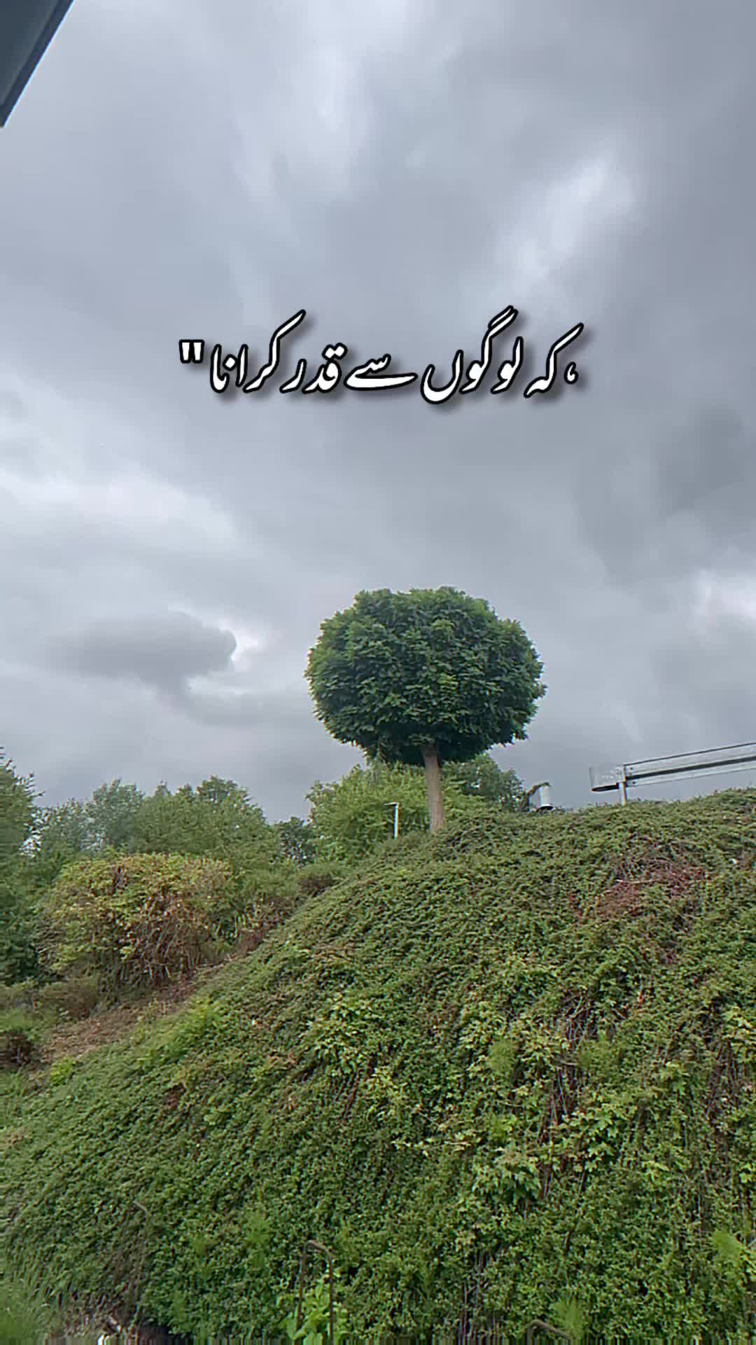 @Saba