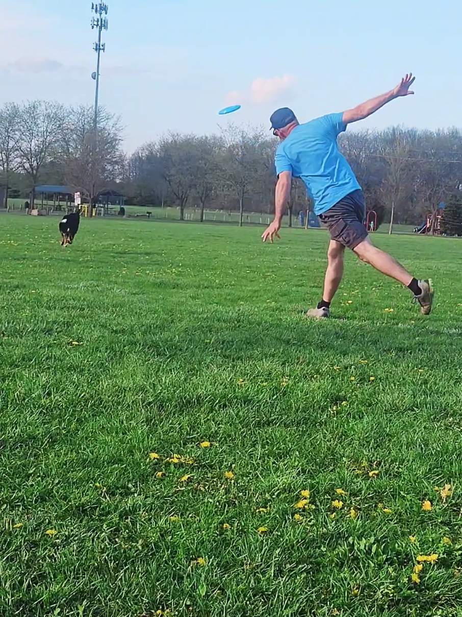 @High Performance Canines