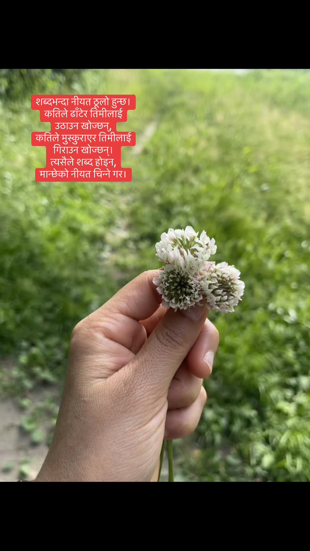 @manuchhetri