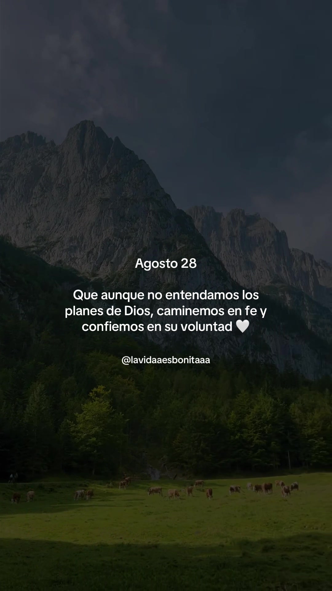 @vidabonita❤️🩹
