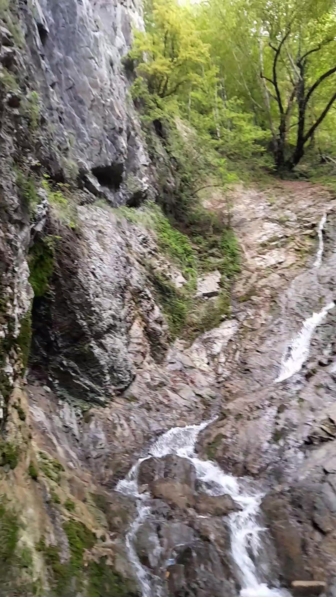 @mehri_mehi