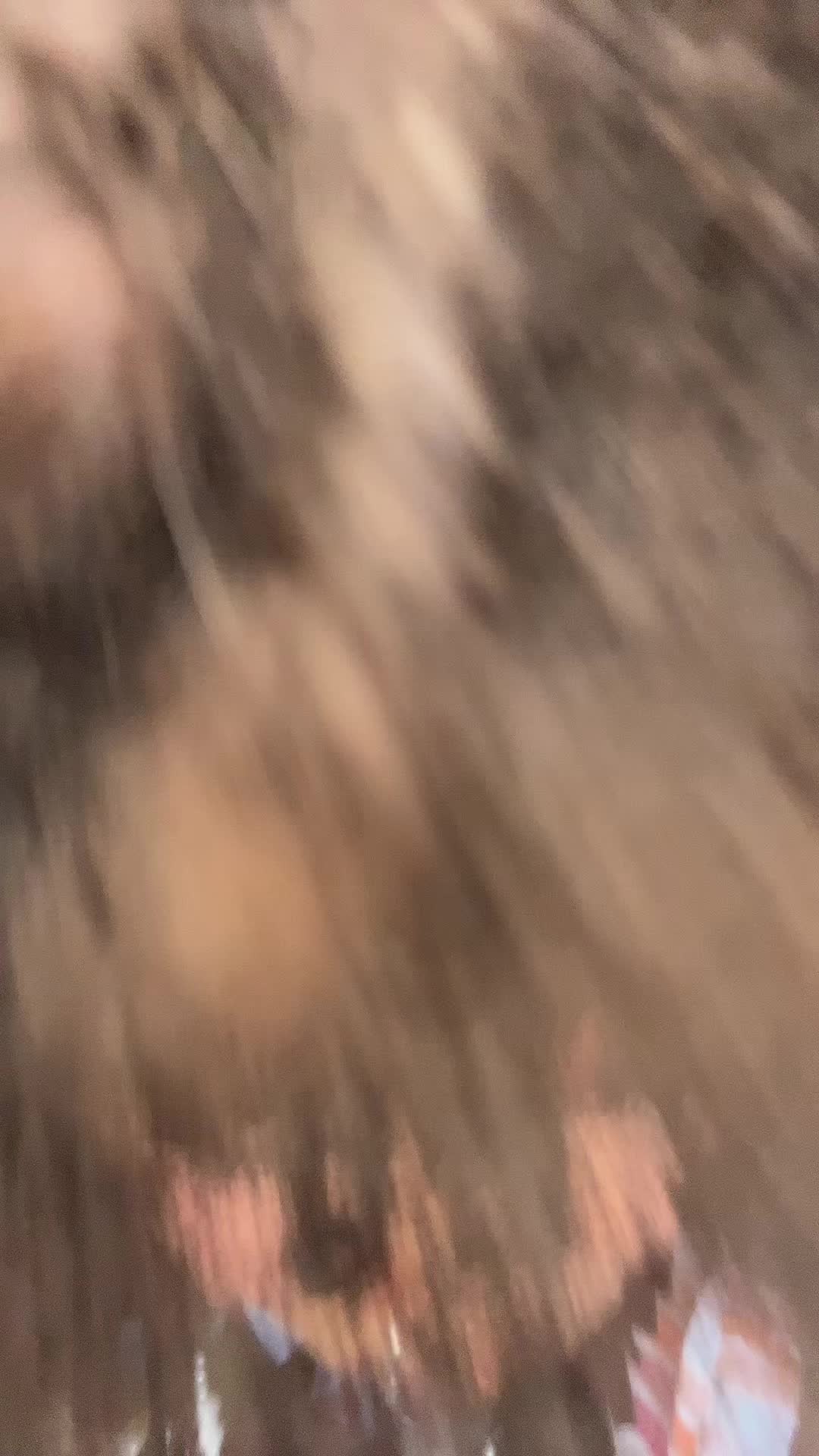 @hippibug