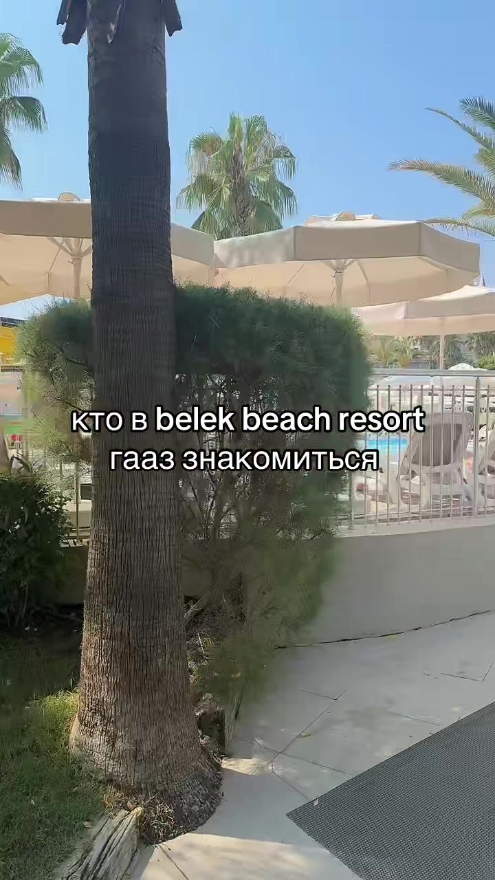 @stqwes