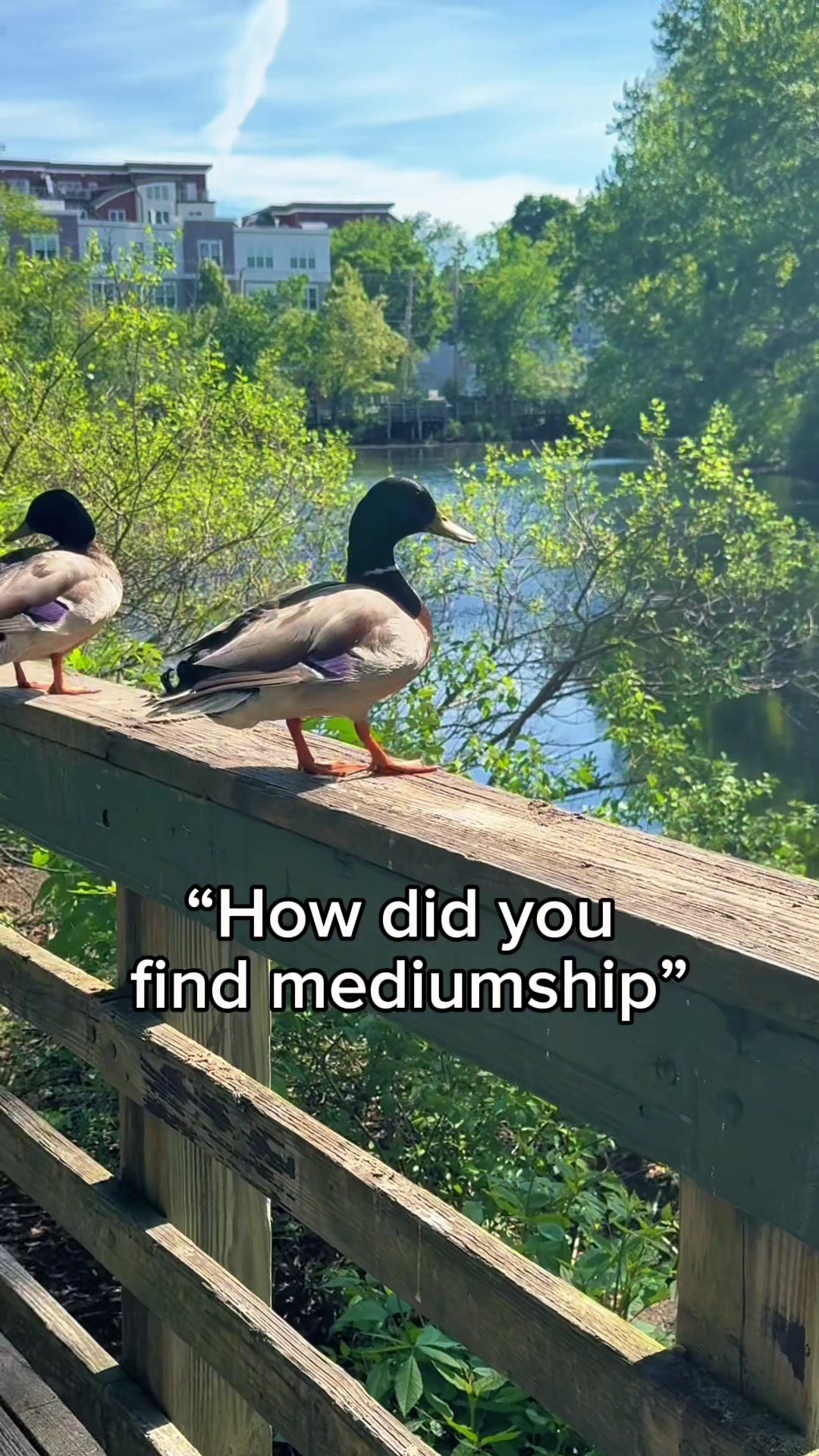 @Kelsey Lynne Psychic Medium