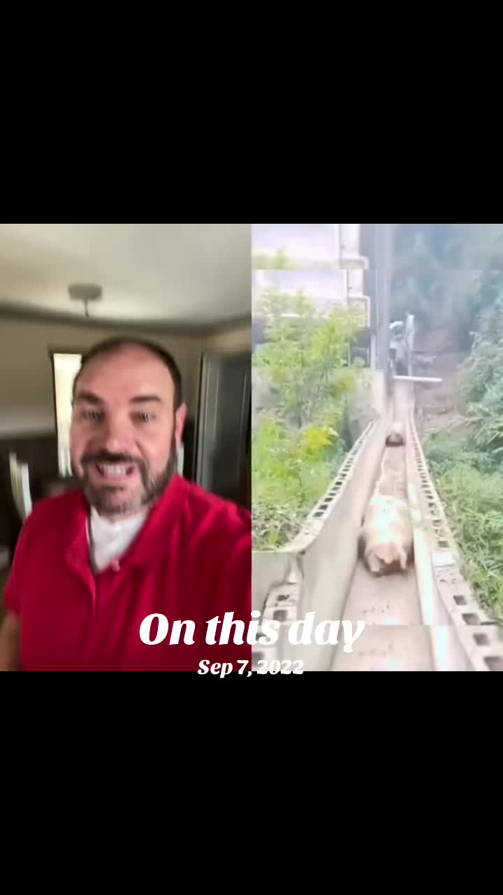 @Chris-k80