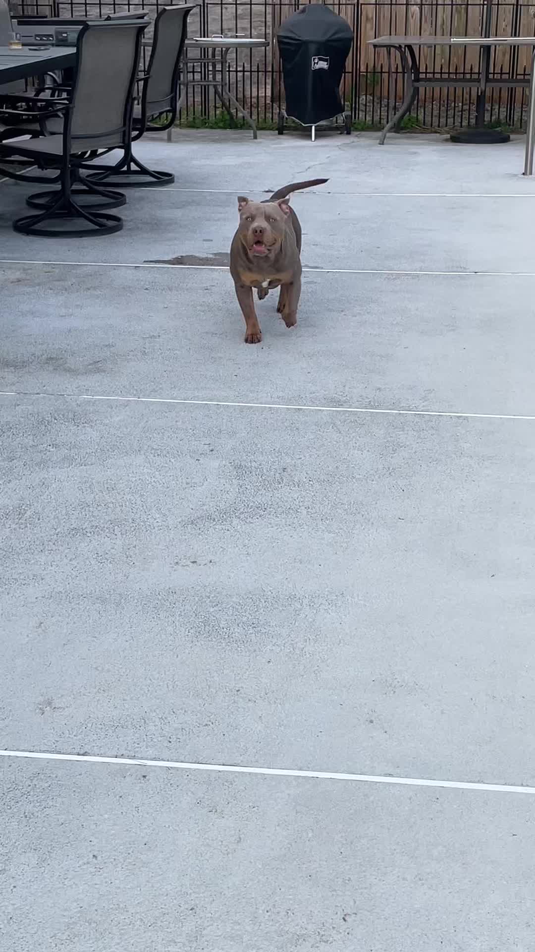 @Bark’n & Park’n
