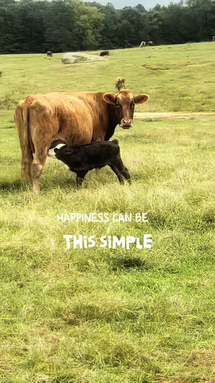 @Kristie_the_Pi🥉🐮❌