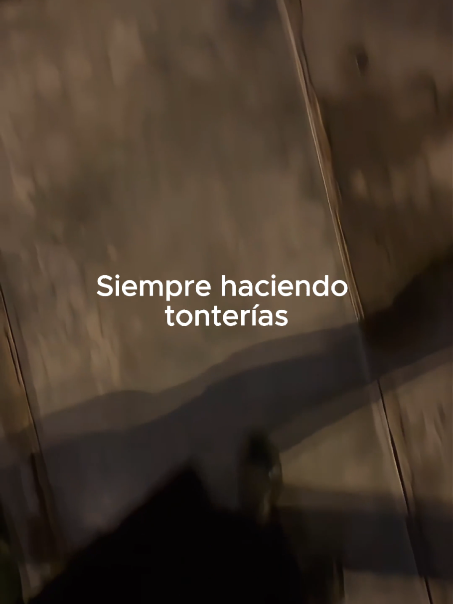 @Tamauta