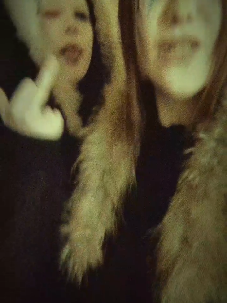 @leqwzs