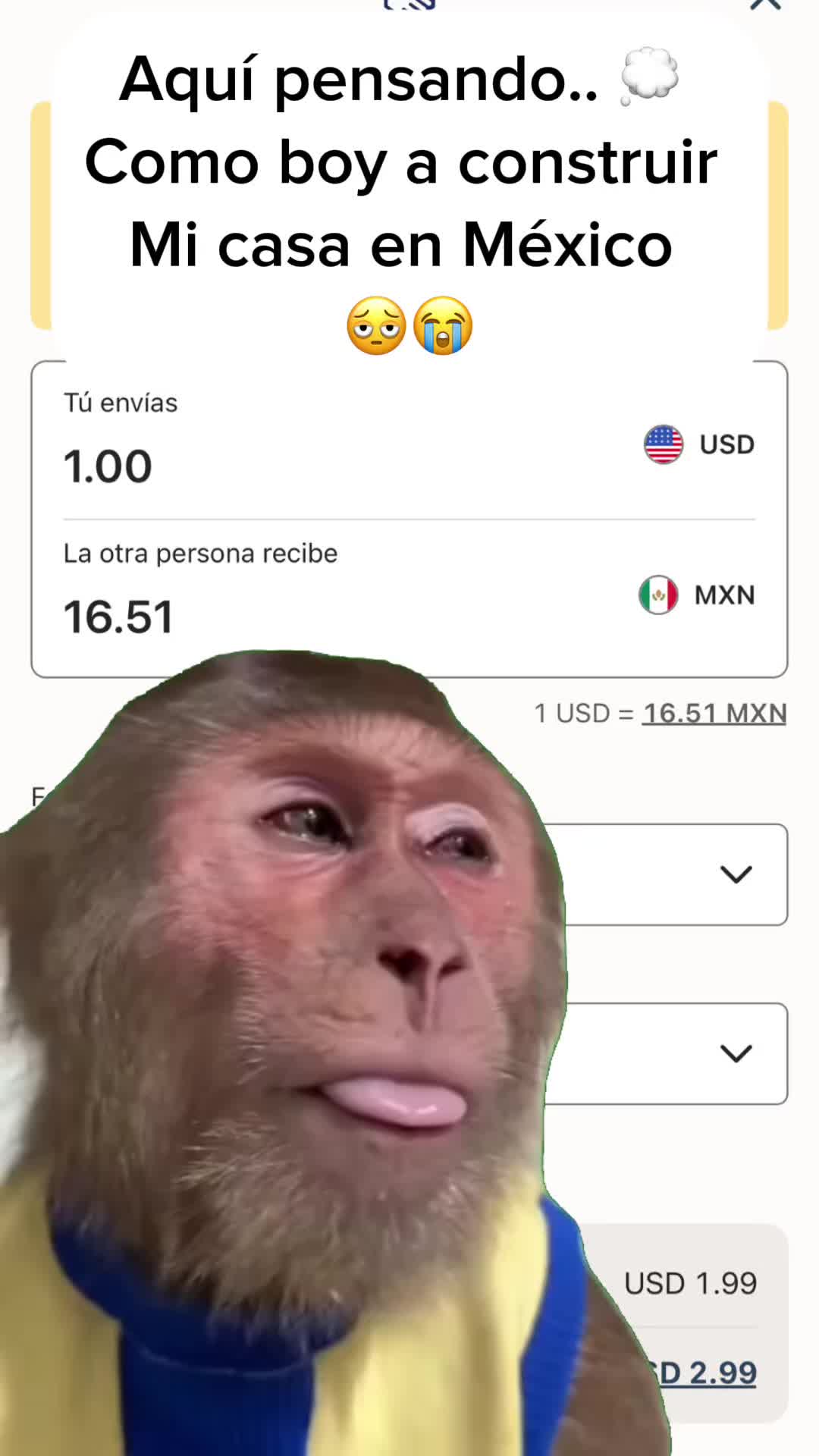 @lucas